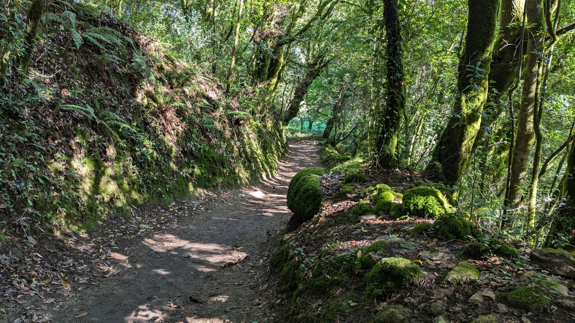 Twelfth Stage Camino Portugues from Caldas de Reis to Padron