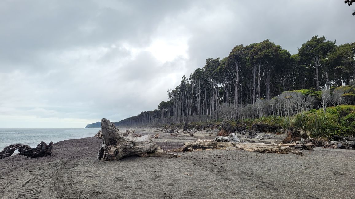 29.Januar-27.Februar 2025 Neuseeland
13.Februar