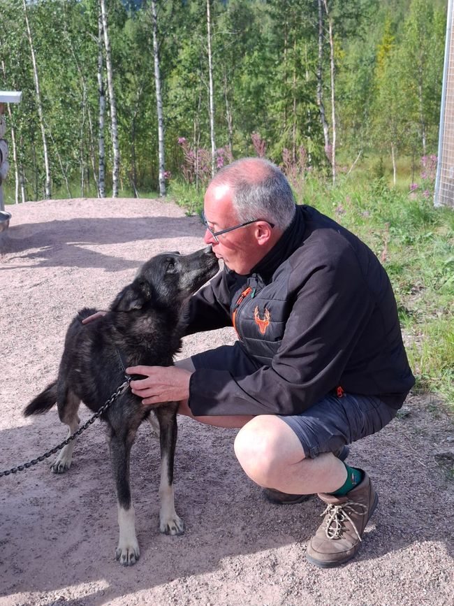 Villa Fregn - Huskyfarm - Fulufjällets NP - Mora