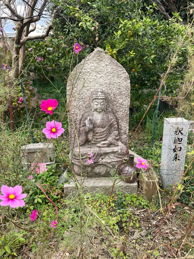 Chapter 18: Prison Visit, One More Jewel, and a New Sento