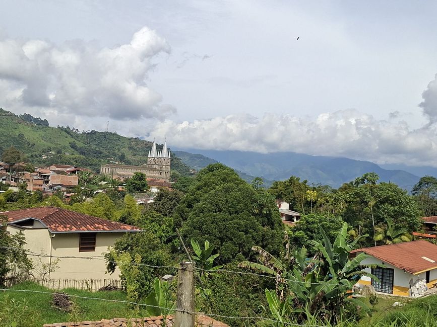 Settimana 21-22: