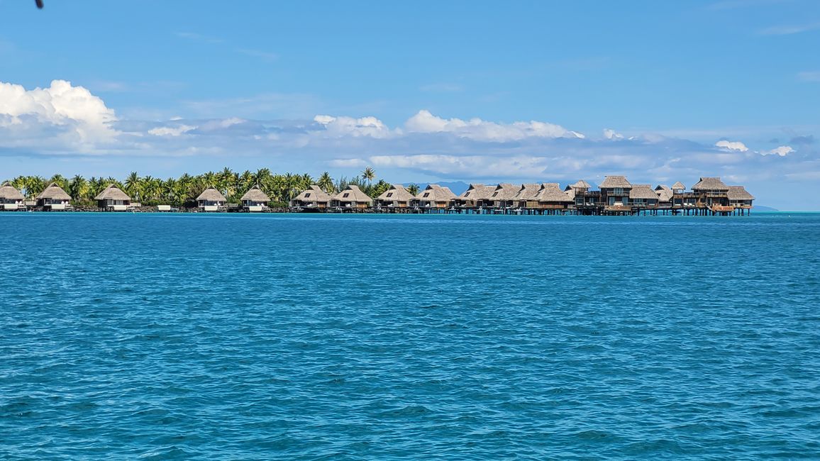 Esnórquel con raya y tiburones en el agua turquesa frente a Bora Bora.