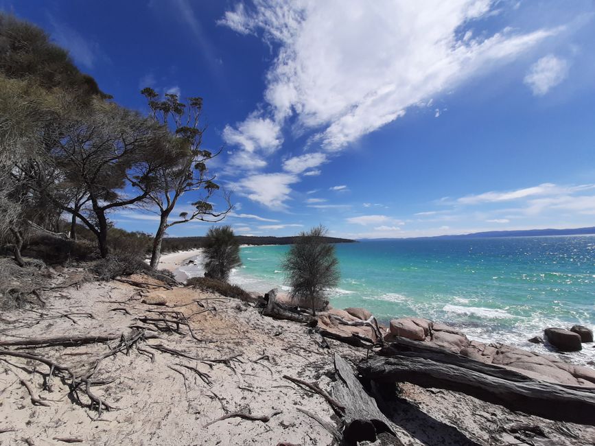 - Singapur & Tasmania 2019 -