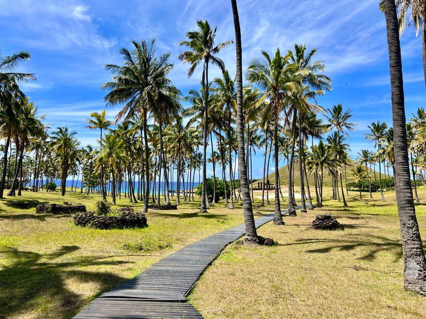 … su una splendida spiaggia di sabbia