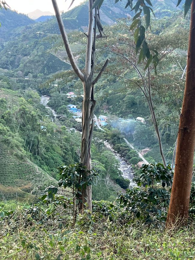 Étiquette 7 (14.10.) : 
3. 'La Chaquira' près de San Augustin