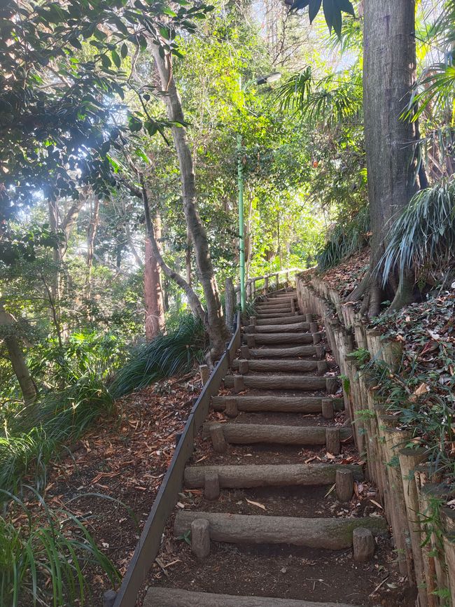 Guter Start mit idyllischem Weg