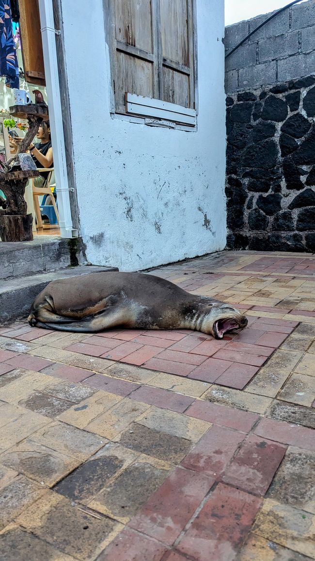 Galapagos Islands