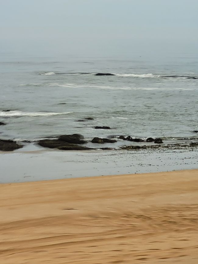 Jour 146 et 147/148 sur 175 : Croisière autour du monde : Walvis Bay/Namibie et deux jours en mer