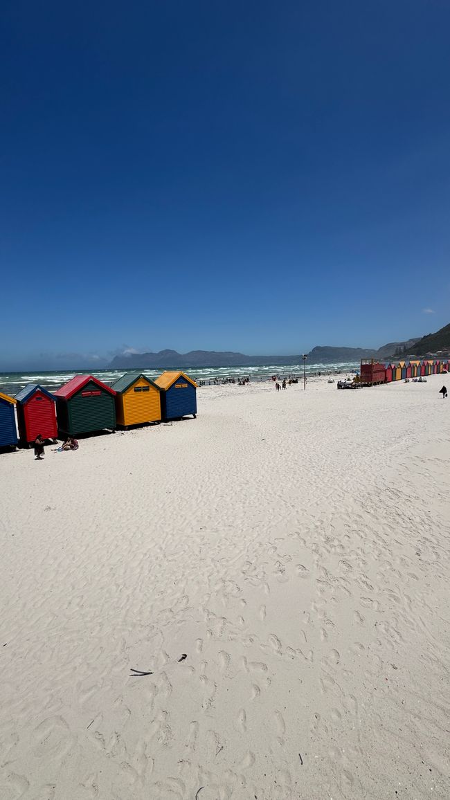 Tour del porto a Città del Capo, Spiaggia di Muizenberg, Spiaggia di Boulders, Capo di Buona Speranza