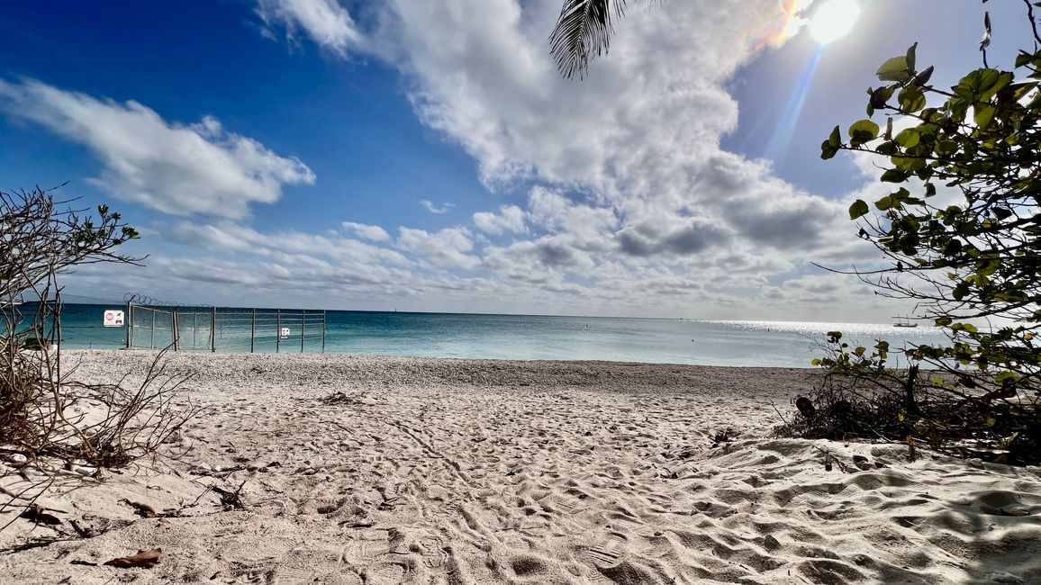Tag 396 - Southernmost point & Duval Street by Golf Cart