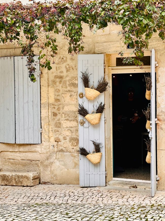 Saint-Rémy-de-Provence, les Alpilles und Salon-de-Provence