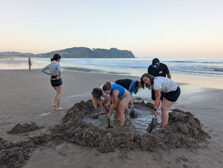 Coromandel Halbinsel - You spin my head right round, because its getting hot in here!