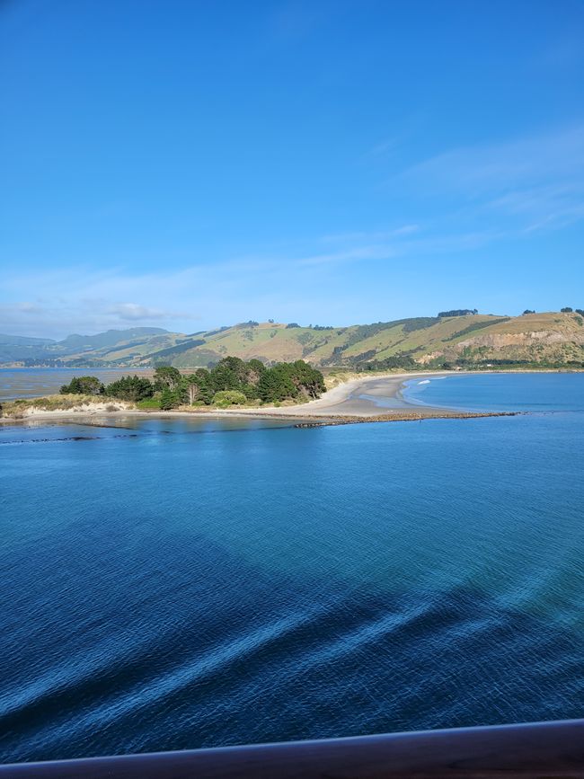 Jour 84 : Port Chalmers/Nouvelle-Zélande