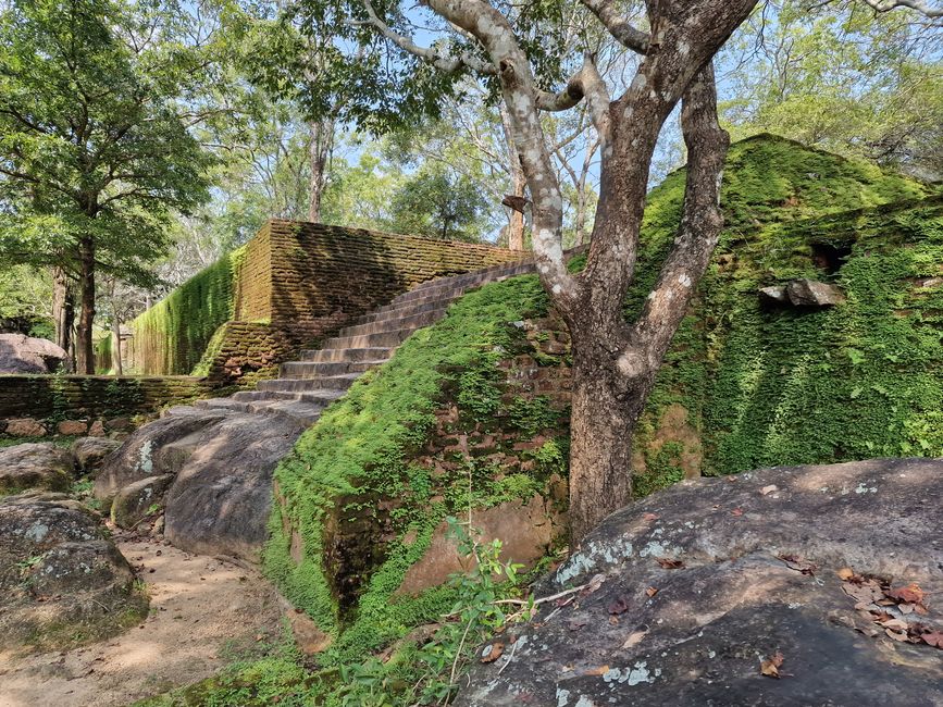 Polonnaruwa - 1000 años de historia y algo aprendido.