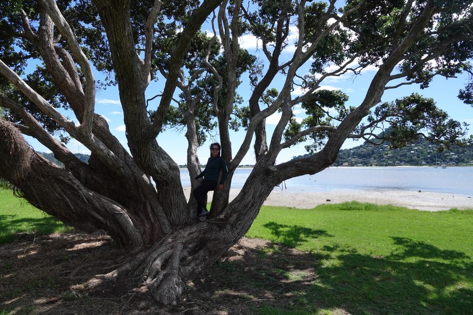 La península de Coromandel ....