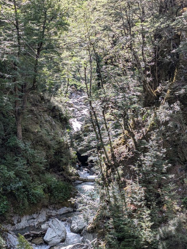 Zippe die zap und Arrowtown