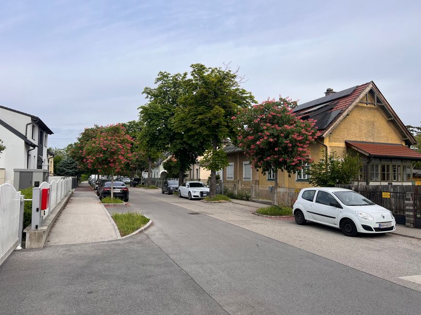 13 nach Wien