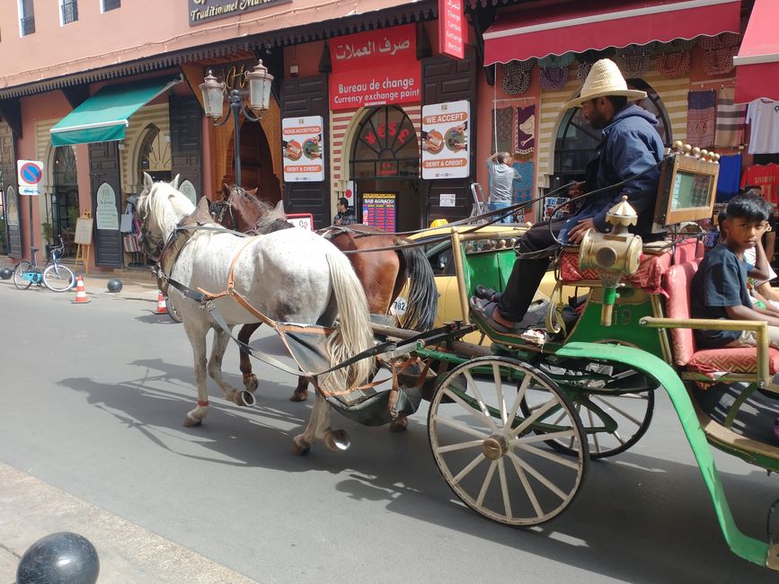 Marrakech (1)