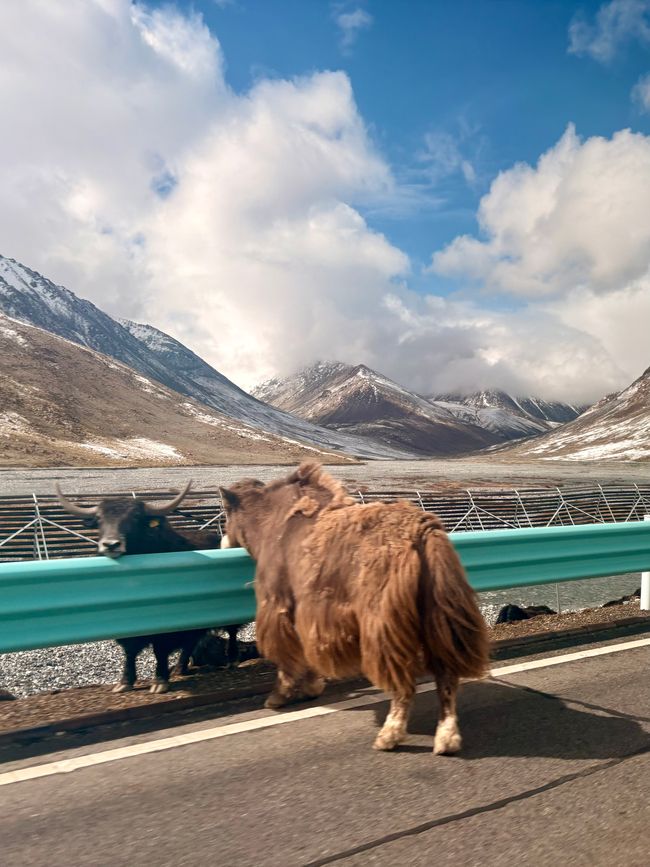 Tashkurgan تاشقورغان بازىرى / Sarikol تاشقۈرغان بۇزۇر / Shitoucheng 石頭城