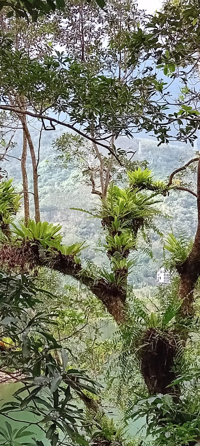 Liyu Lake