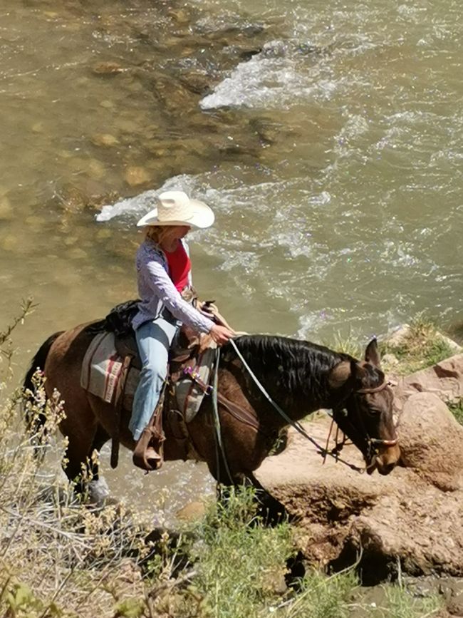 Grand Canyon... und mehr... 