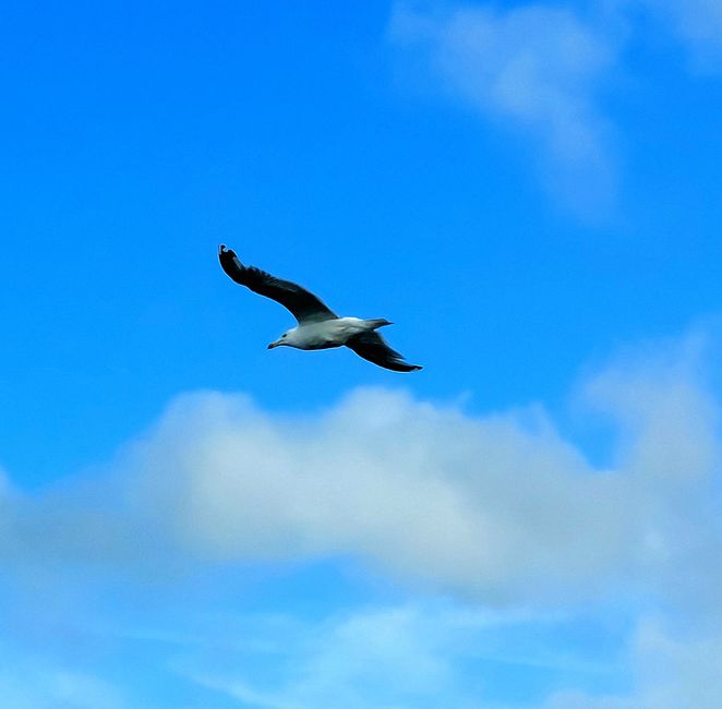 Fehmarn