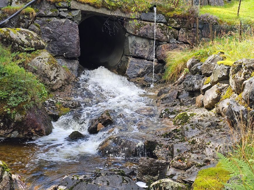 Excursión a 'Lysstoperiet'