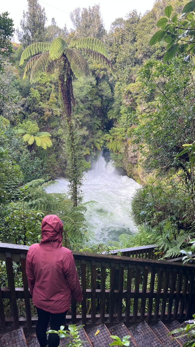 Okere Falls nach 36h Dauerregen
