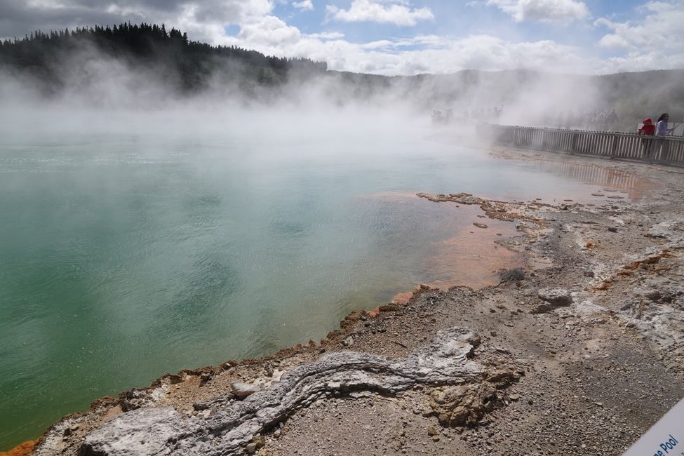 Von Rotorua zur Art Deco City ....
