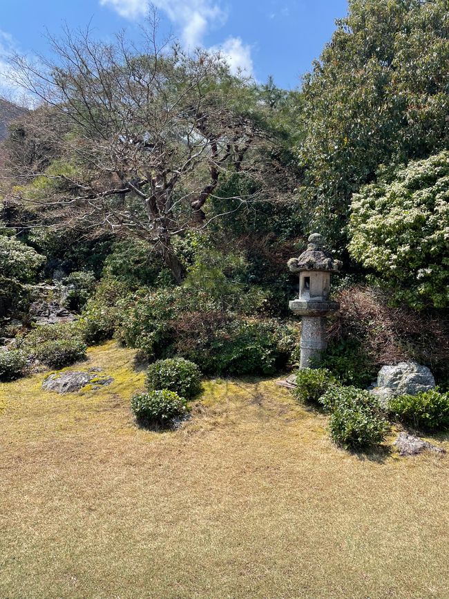 Kyoto-Domingo-06.04.25