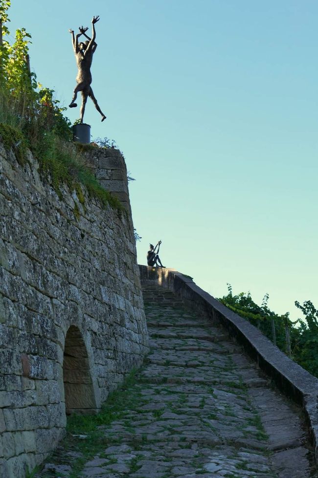 Zwischen Weinreben und Geschichte: Die Yburg im Fokus 📸