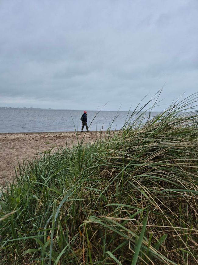Greifswald- eine Stadt am Bodden