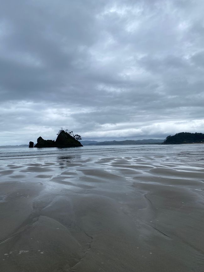 Coromandel loop