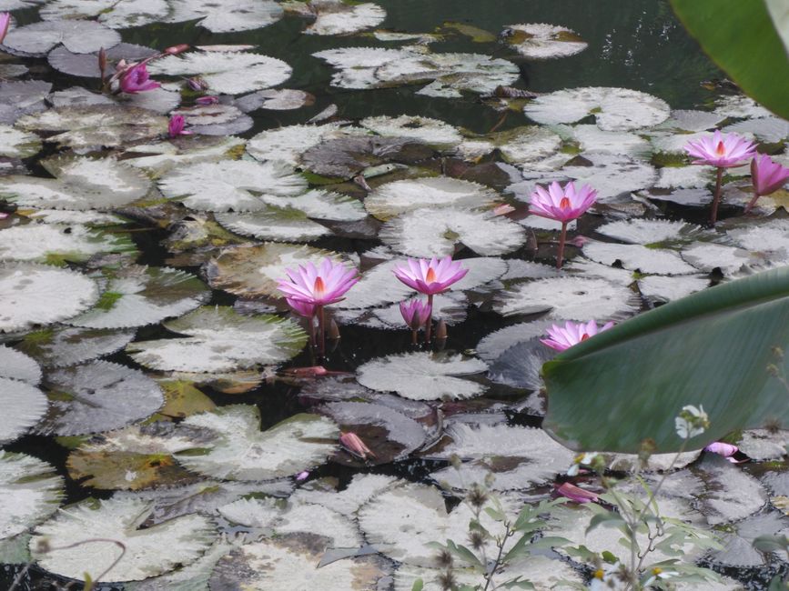 2025-01-05 Vietnam, Ninh Binh