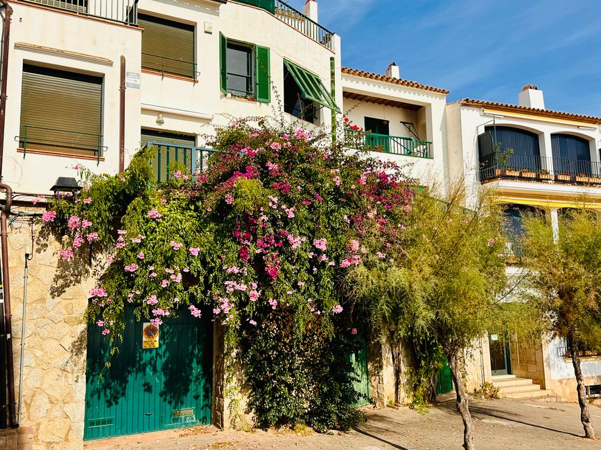 Calella de Palafrugell