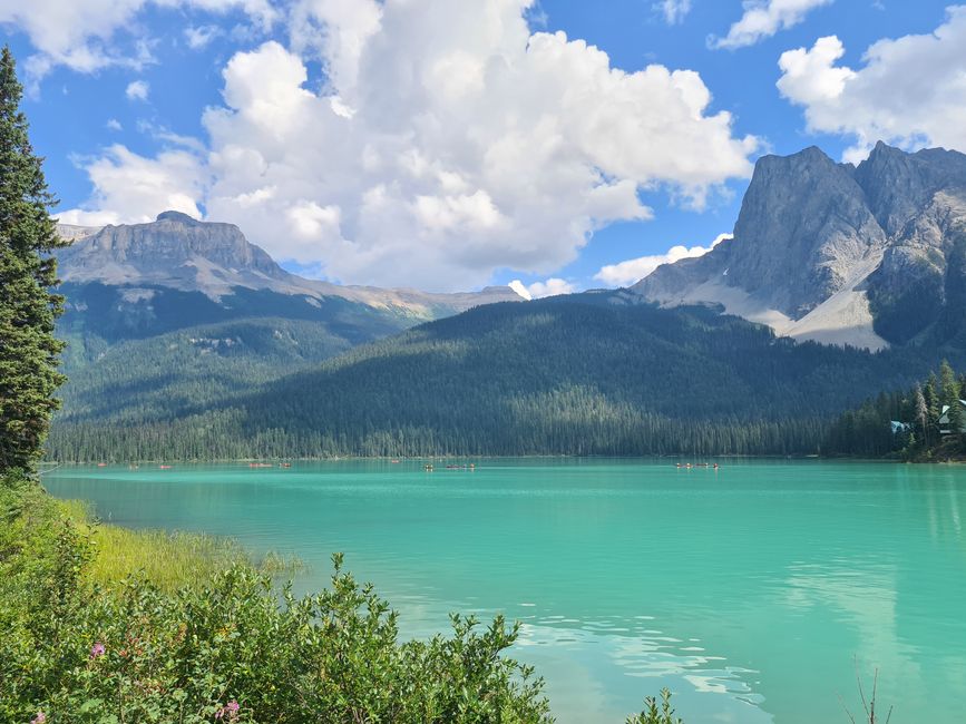 Canmore (Yoho) - Bears and Waterfalls