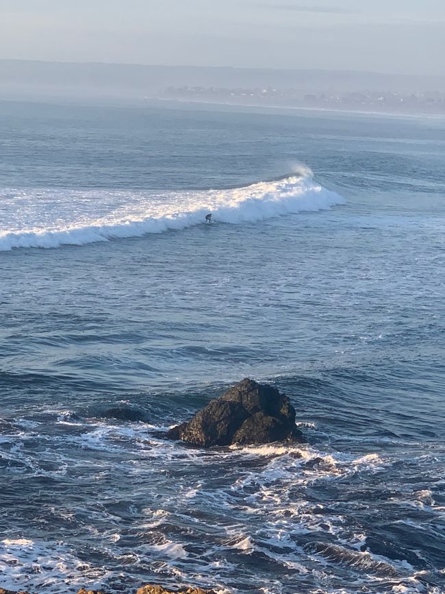 Punta de Lobos
