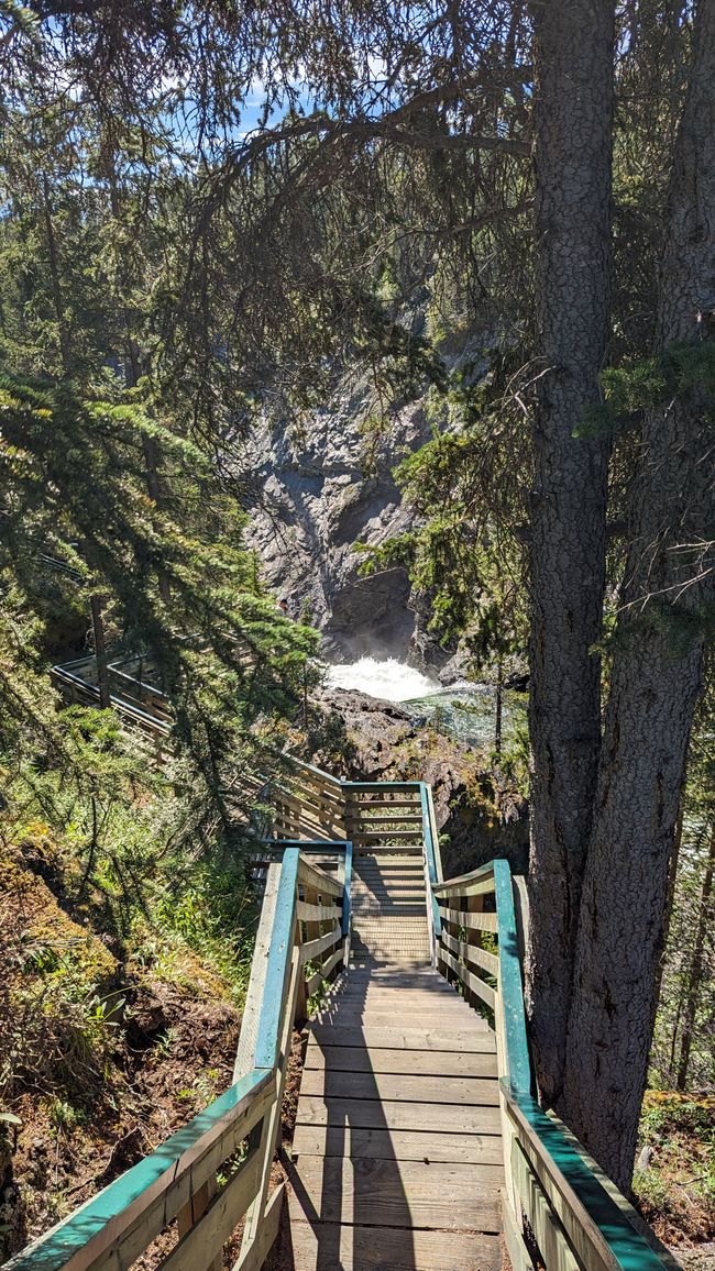 Tag 27: Bärenshow & fantastische Bergwelten - zurück nach Yukon/Kanada