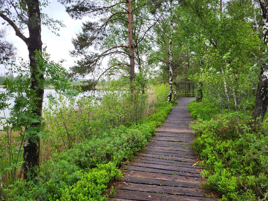Wurzacher Ried
