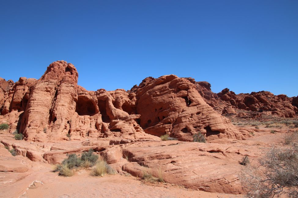 Tag 18 Valley of Fire   -   State Park