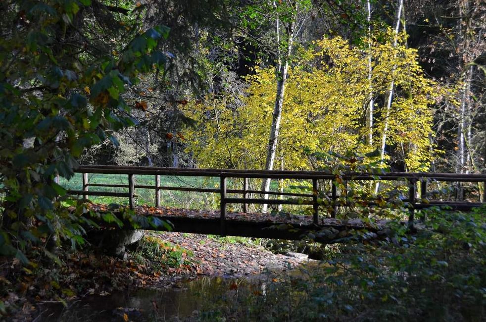 Senderismo de otoño en el Wutachschlucht: rojo, amarillo, naranja... ¡y tú en medio!