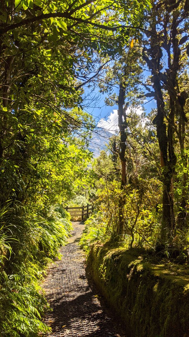 New Plymouth / Okato / Mt. Taranaki