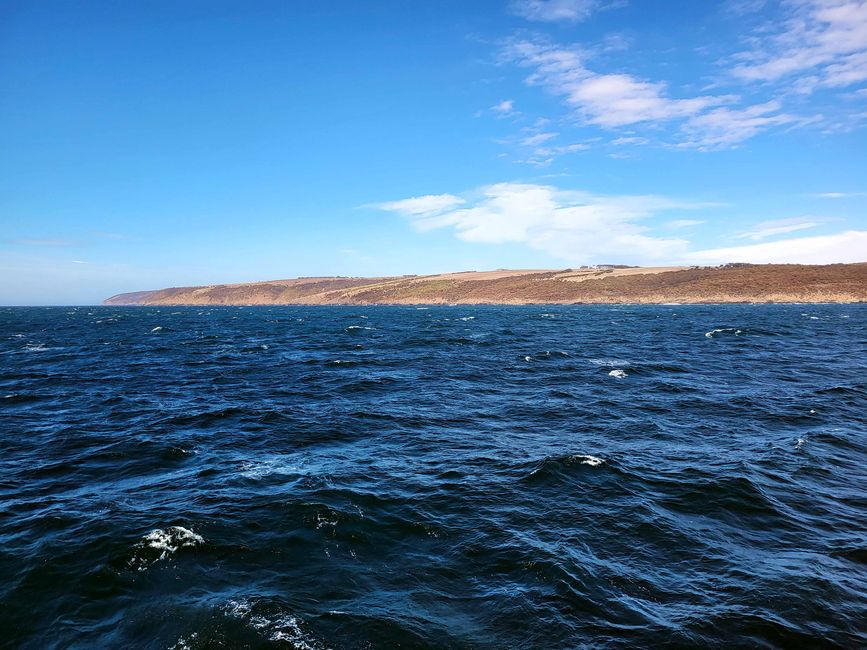 vue sur l'île Kangourou