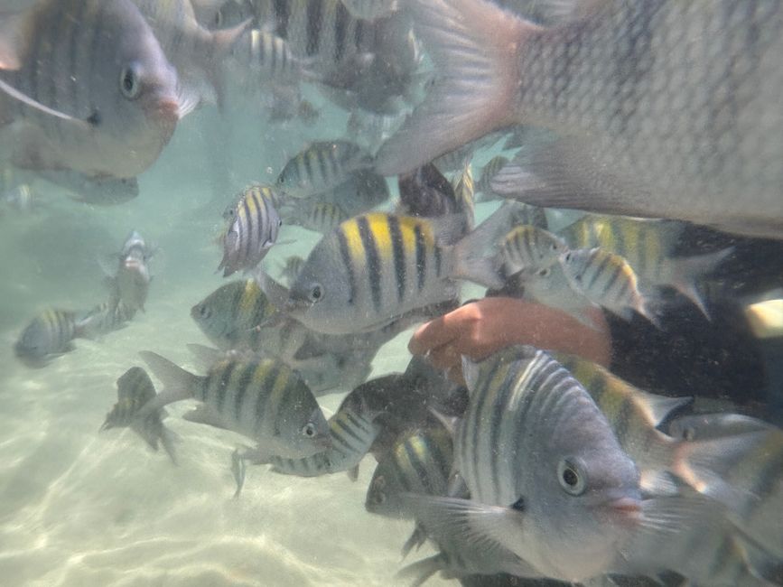 Da ist der Geburtstag 