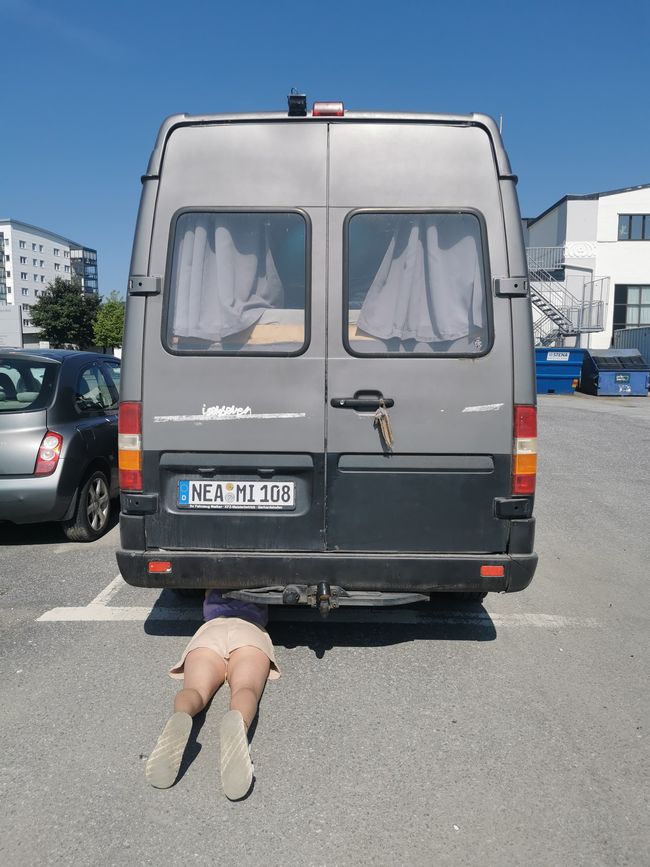 Svezia o anche Survival Camp