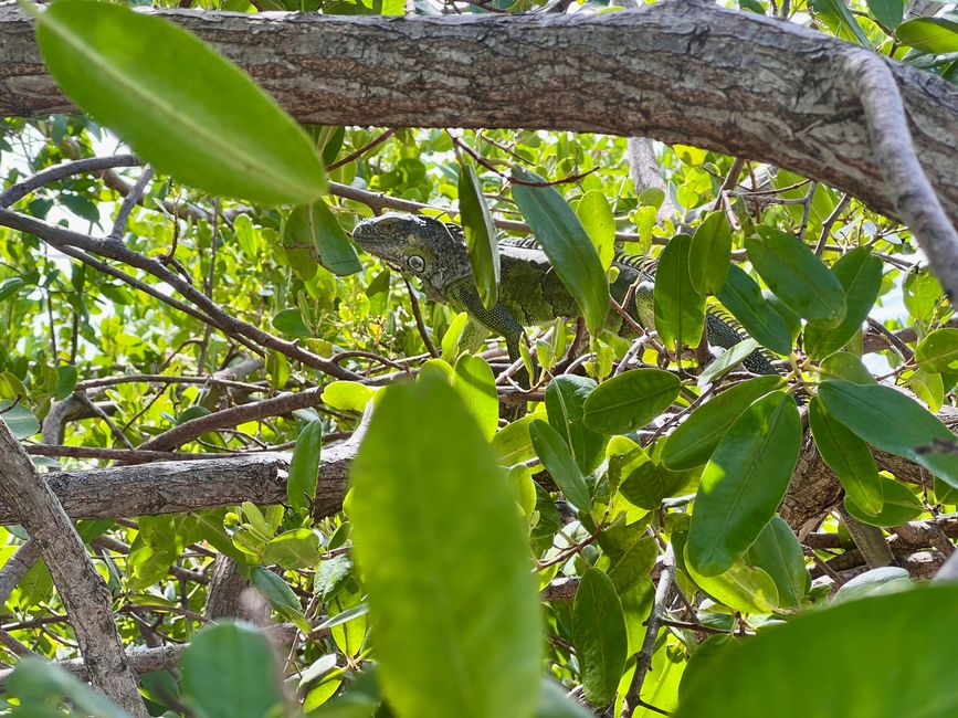 Tag 374 - Abholung unseres Wohnmobils/RV‘s