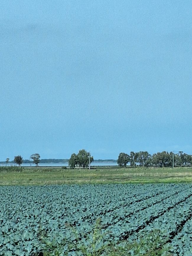 A lo largo de la costa hacia Cologna Spiaggio