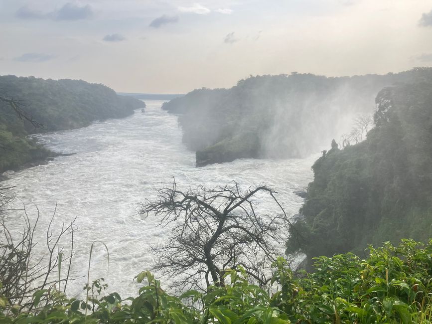 Nationalpark Murchison Falls