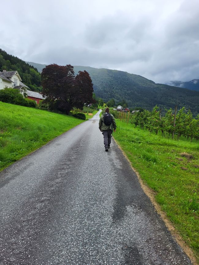 Tag 9 und 10 - Oh ein Fjord! Ulvik am Eidfjord