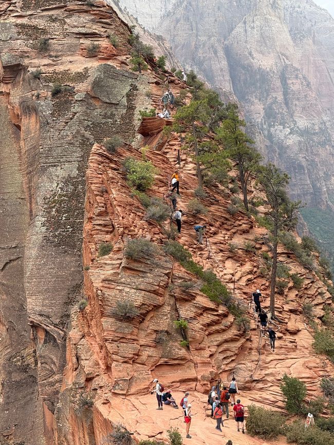 Der Grat zu Angel's Landing